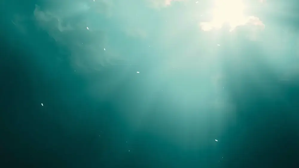 Os trigonum: o osso extra que provoca dor atrás do tornozelo
