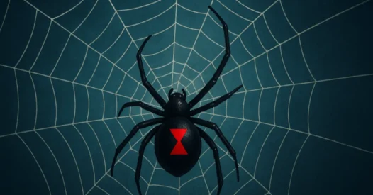 Madame Teia: Dakota Johnson e as premonições das aranhas