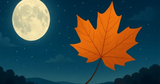 O Céu de Outubro – resumo sem spoilers, bem direto hoje