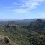 Pantanal lidera queda do desmatamento no Brasil; Cerrado recua 11,5%